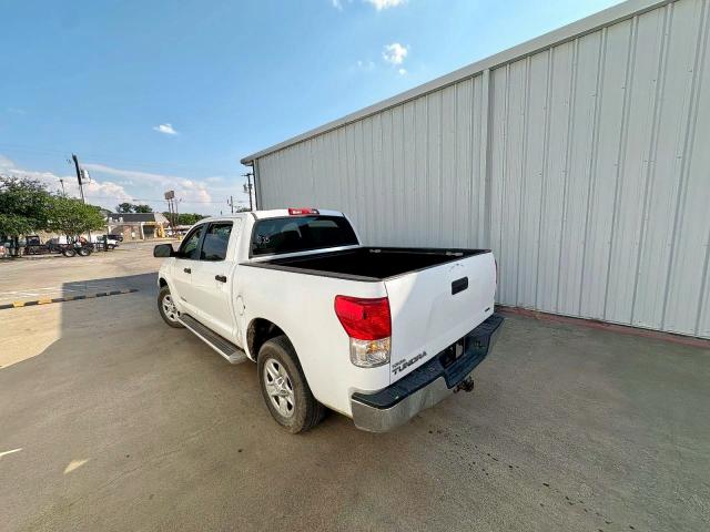 2010 TOYOTA TUNDRA CRE - 5TFEM5F16AX018762