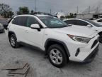 Lot #3315891104 2020 TOYOTA RAV4 XLE