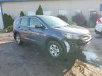 Lot #3296971833 2013 HONDA CR-V LX