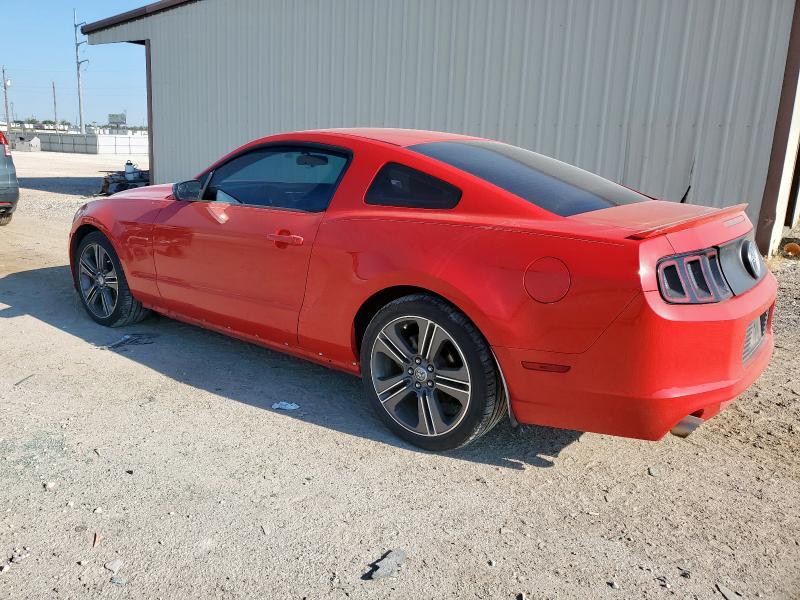 2013 FORD MUSTANG - 1ZVBP8AM5D5218588