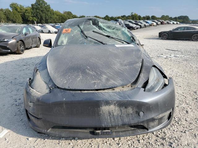 2020 TESLA MODEL Y #3281617388