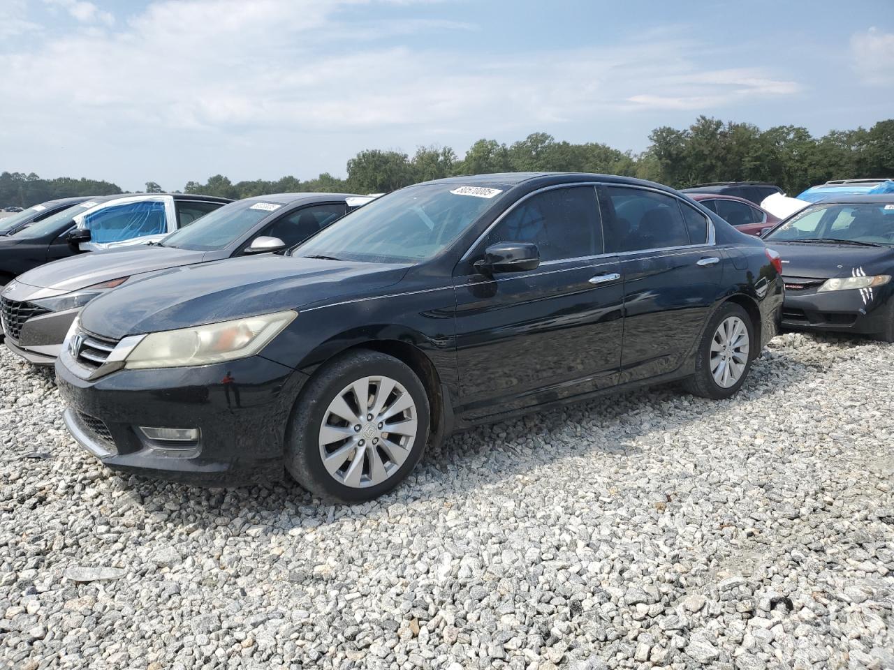 HONDA ACCORD EXL