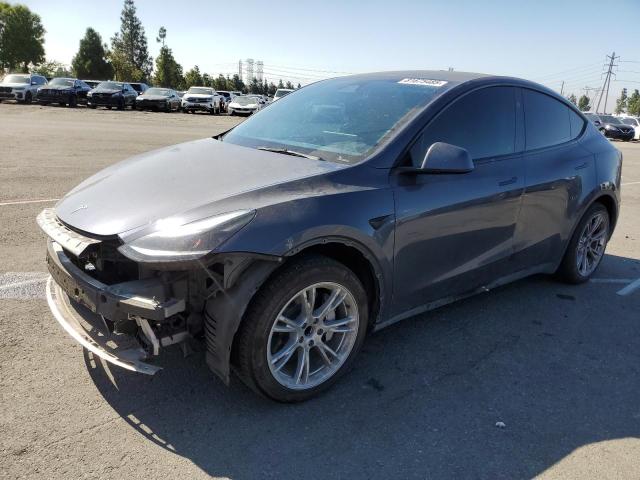 Global Auto Auctions: 2023 TESLA MODEL Y