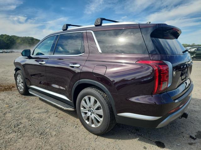 2025 HYUNDAI PALISADE S #3292425591