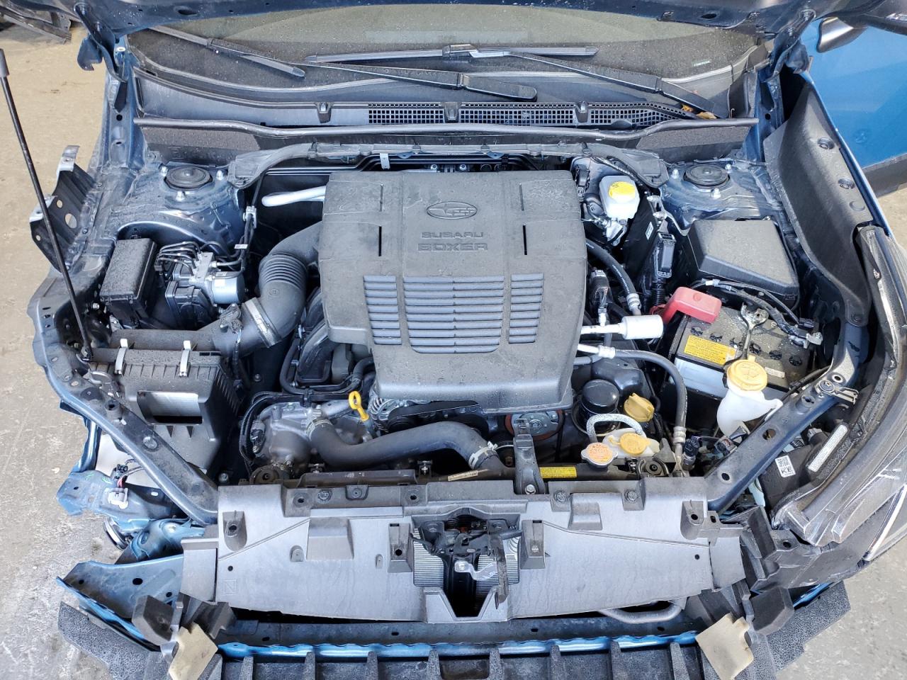 SUBARU FORESTER WILDERNESS