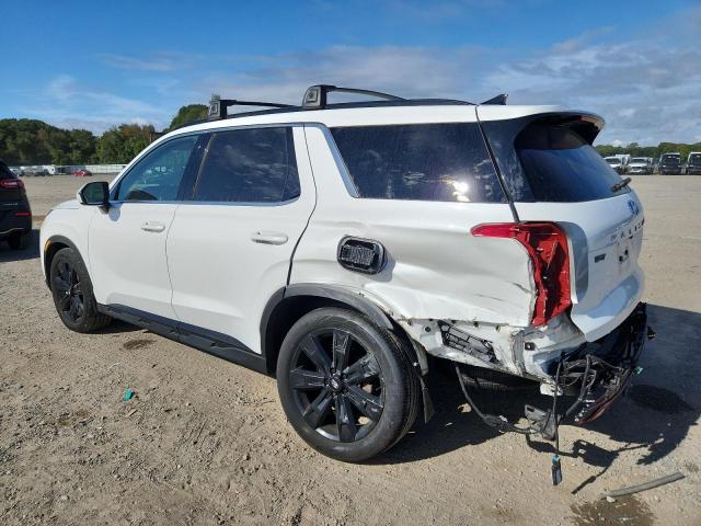 2024 HYUNDAI PALISADE X - KM8R3DGE6RU647530