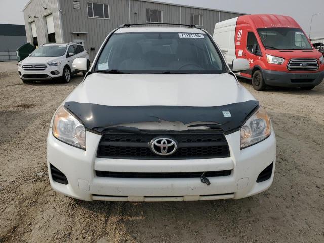 2011 TOYOTA RAV4 - 2T3BF4DV3BW142295