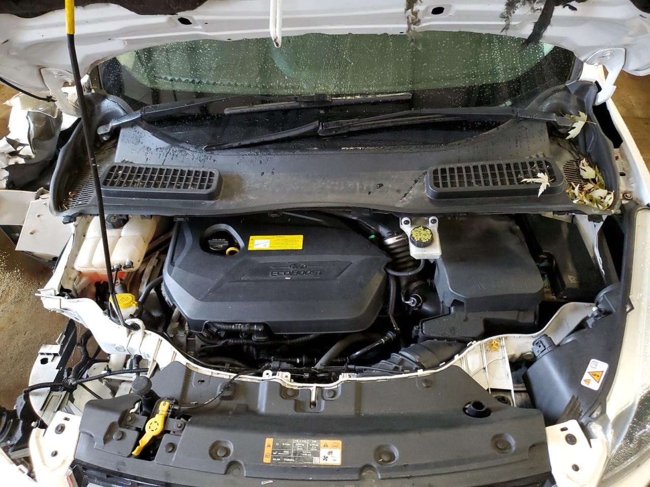 FORD ESCAPE TITANIUM