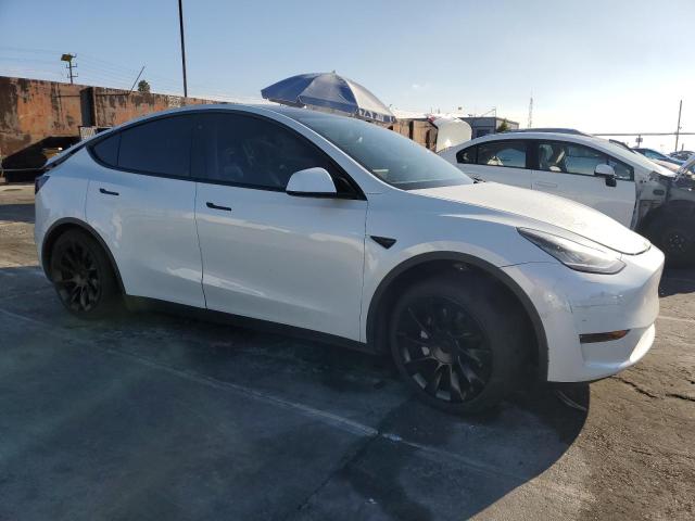 2020 TESLA MODEL Y 5YJYGDEE4LF058290
