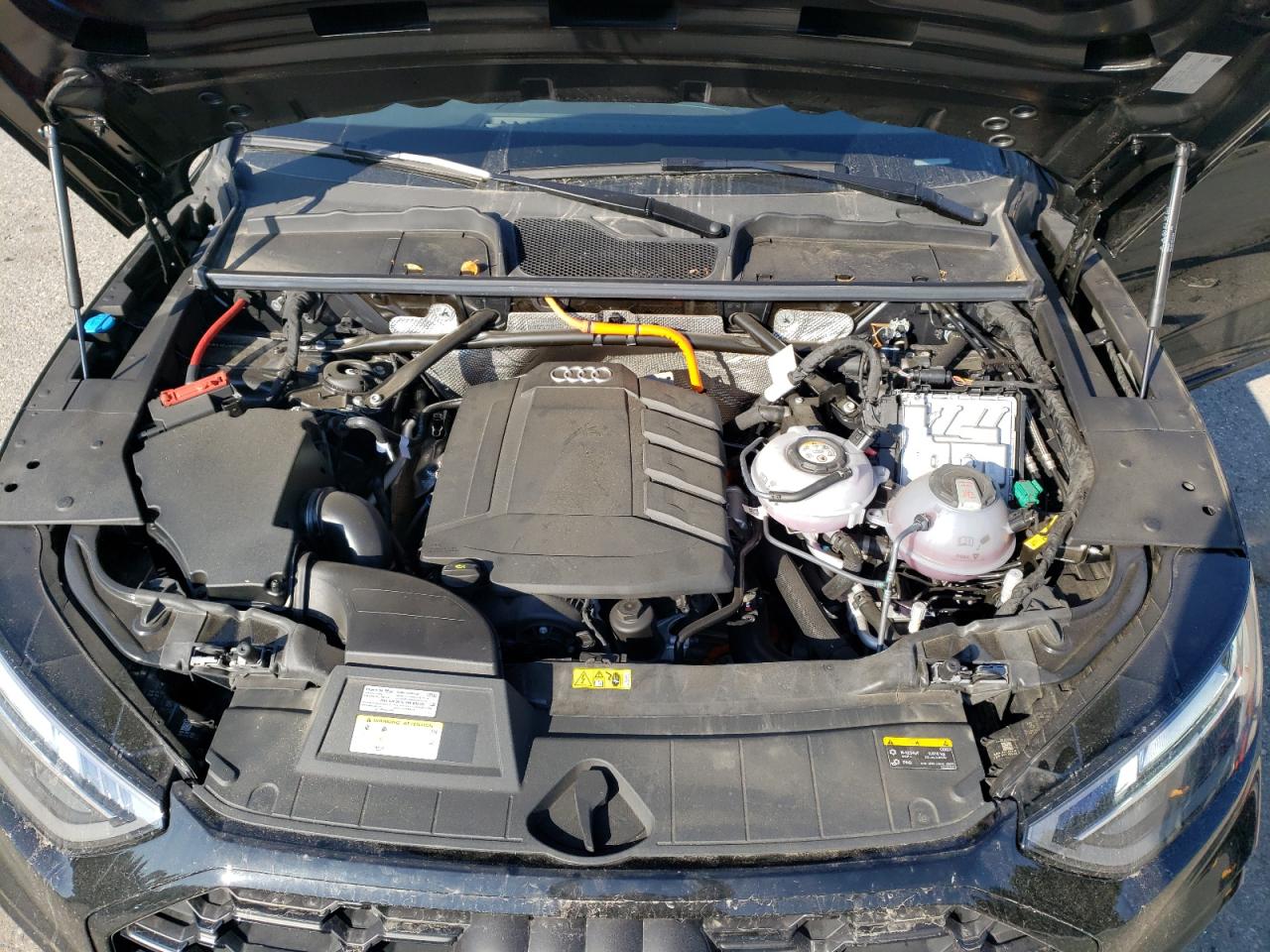 AUDI Q5 PREMIUM PLUS 55