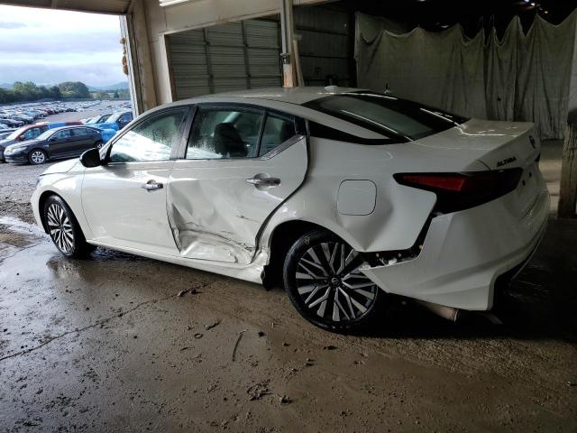 2025 NISSAN ALTIMA SV 1N4BL4DV0SN376514