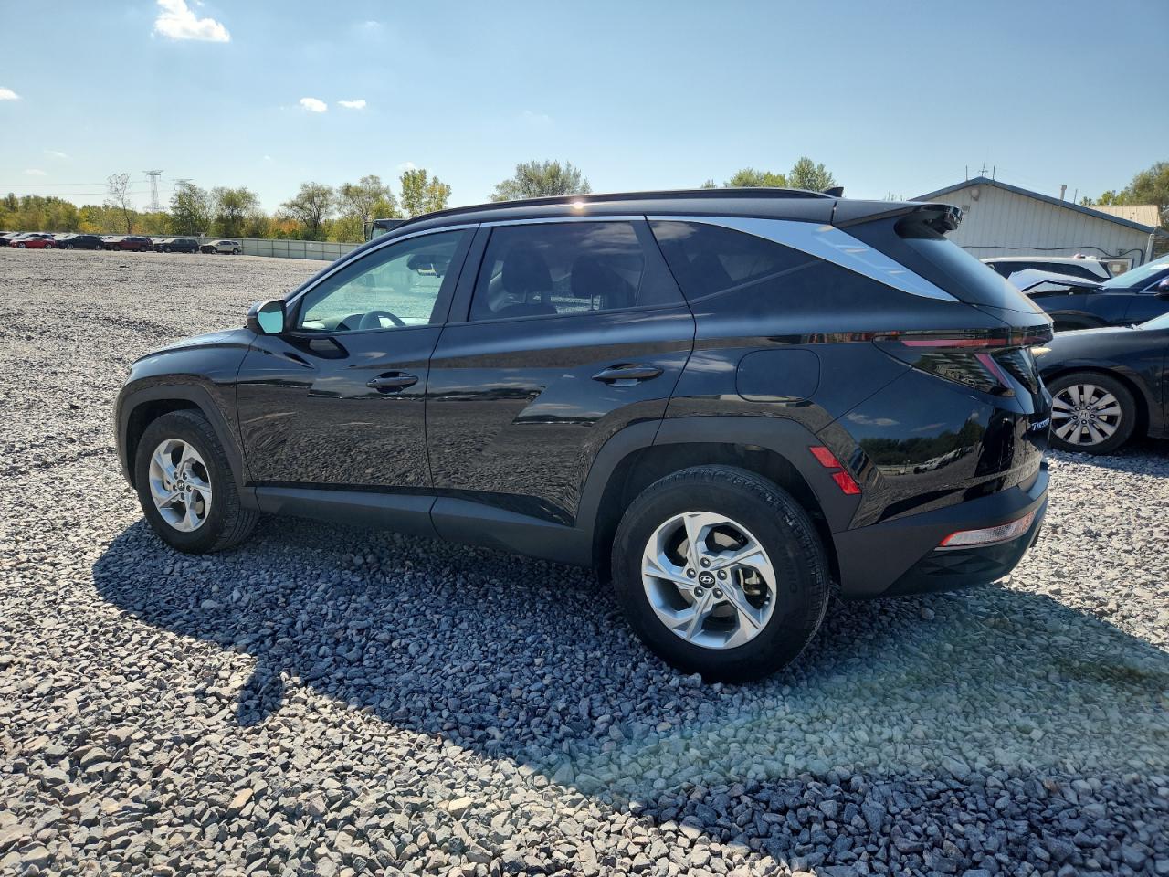 Global Auto Auctions