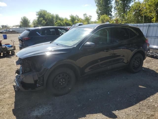 Global Auto Auctions: 2021 FORD ESCAPE SEL