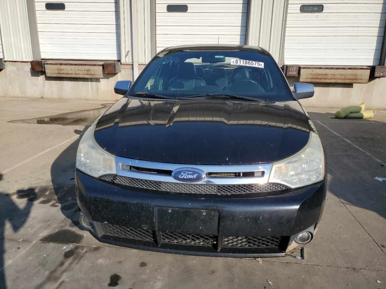 Lot #3268929216 2009 FORD FOCUS SEL