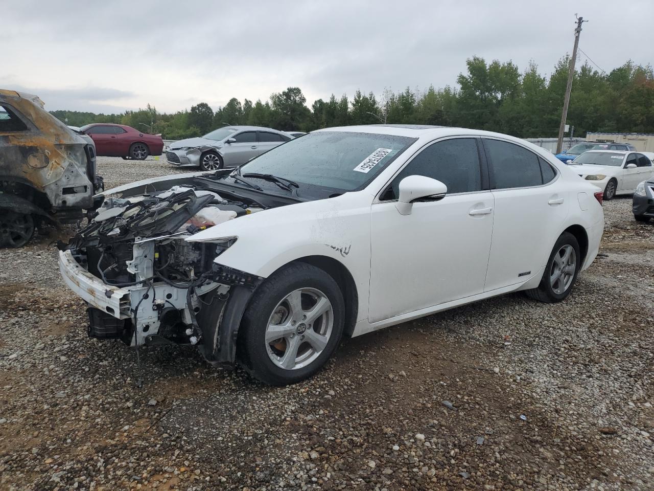 LEXUS ES 300H