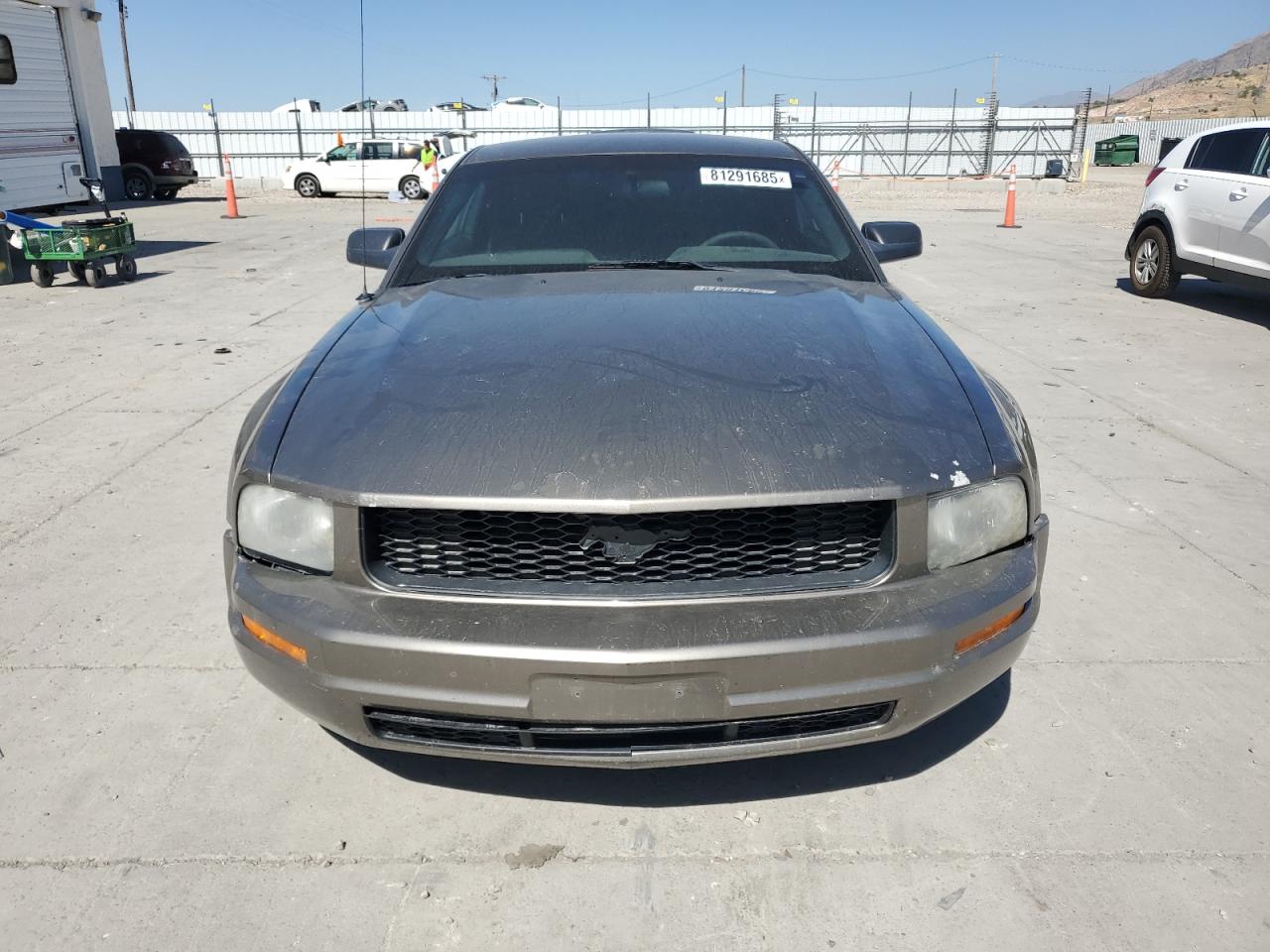 Lot #3286922229 2005 FORD MUSTANG