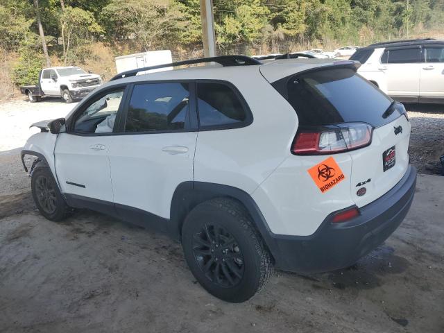 2023 JEEP CHEROKEE A #3311540235