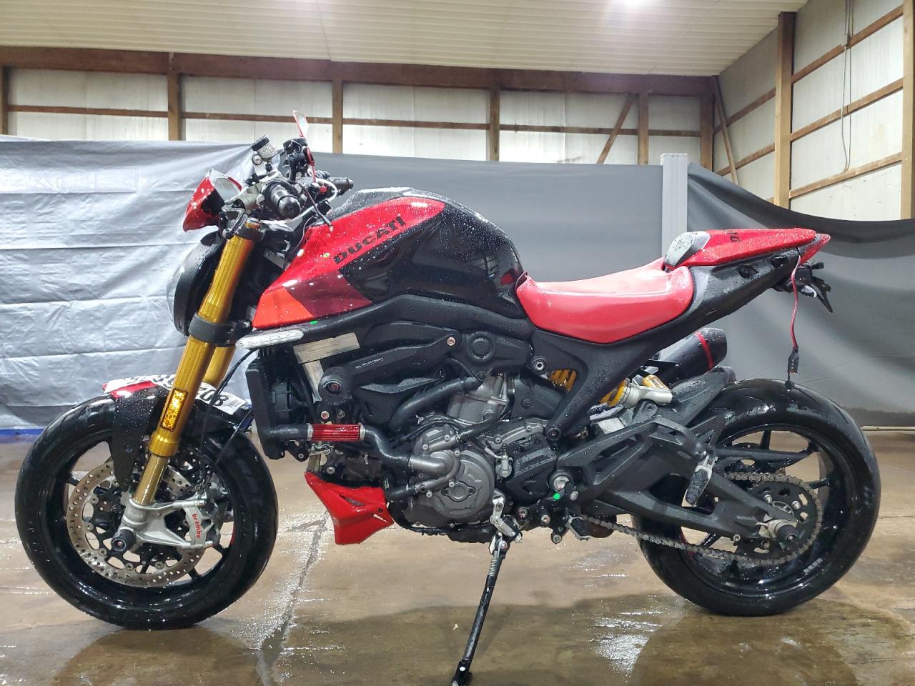 Lot #3309256618 2023 DUCATI MONSTER