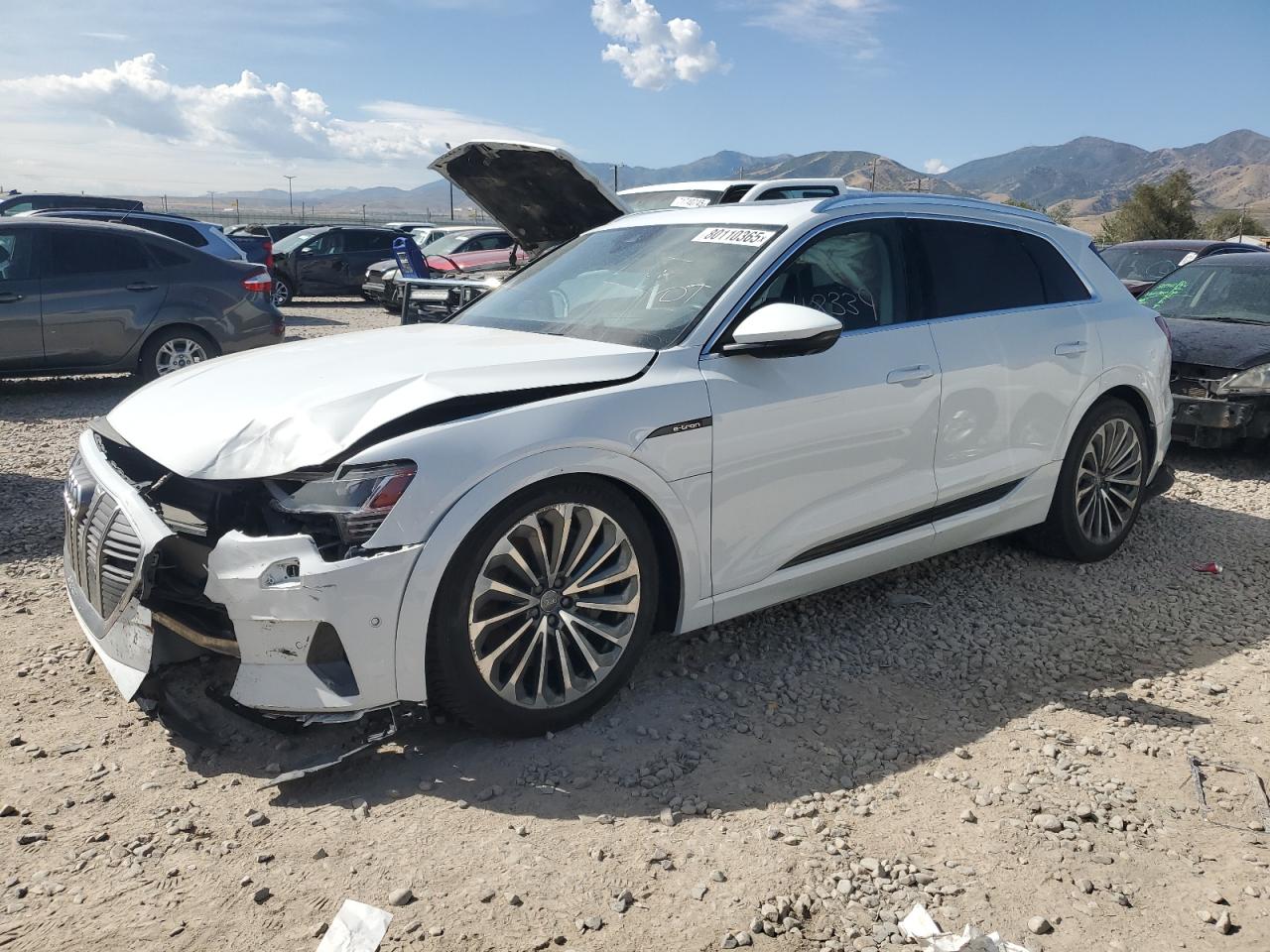 AUDI E-TRON PRESTIGE