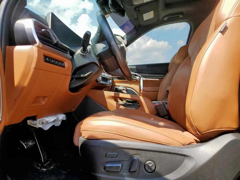 2023 KIA TELLURIDE - 5XYP5DGC0PG375737