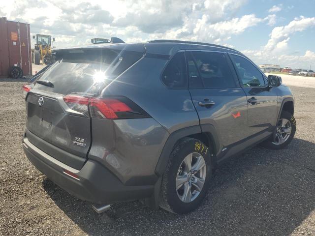 2024 TOYOTA RAV4 XLE - 4T3RWRFV8RU162402