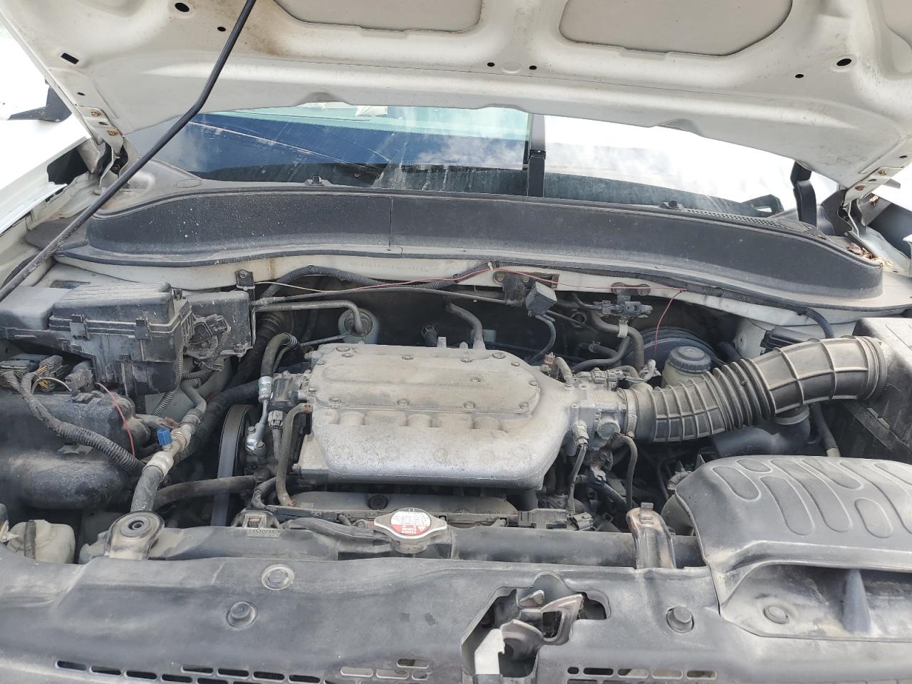 Lot #3291273959 2006 HONDA RIDGELINE