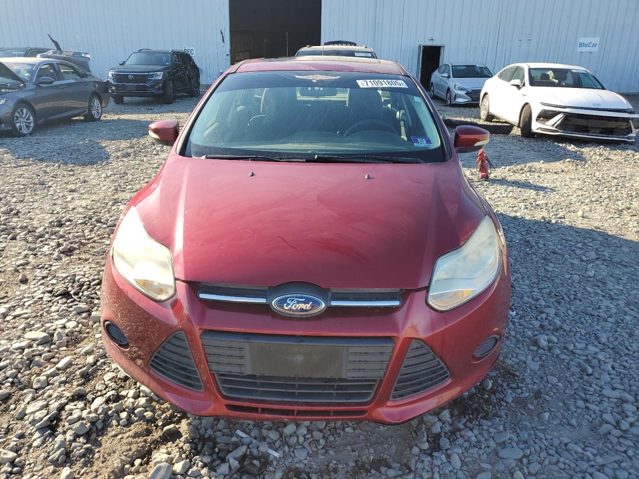 FORD FOCUS SE