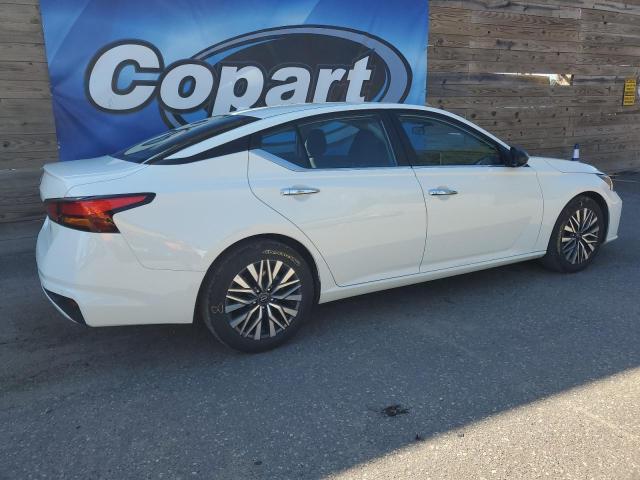2025 NISSAN ALTIMA SV 1N4BL4DV5SN364066