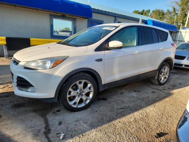 Global Auto Auctions: 2013 FORD ESCAPE SEL