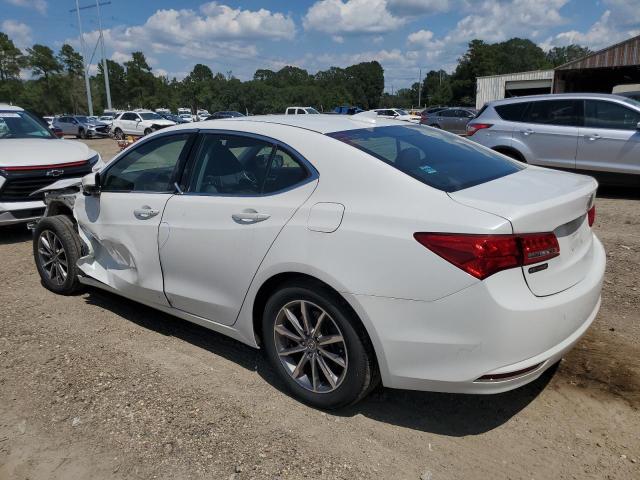 2019 ACURA TLX TECHNO 19UUB1F51KA009020