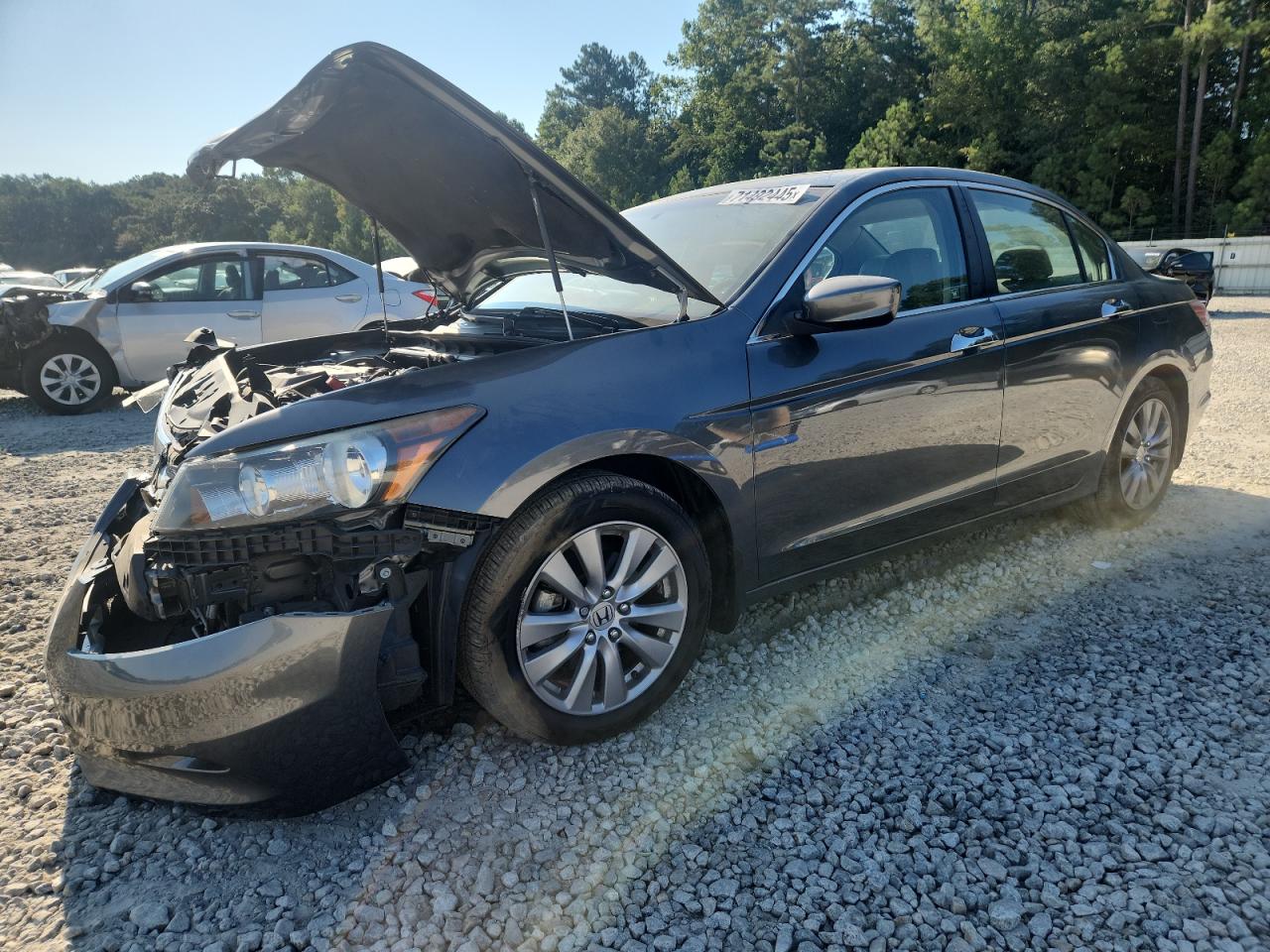 HONDA ACCORD EXL