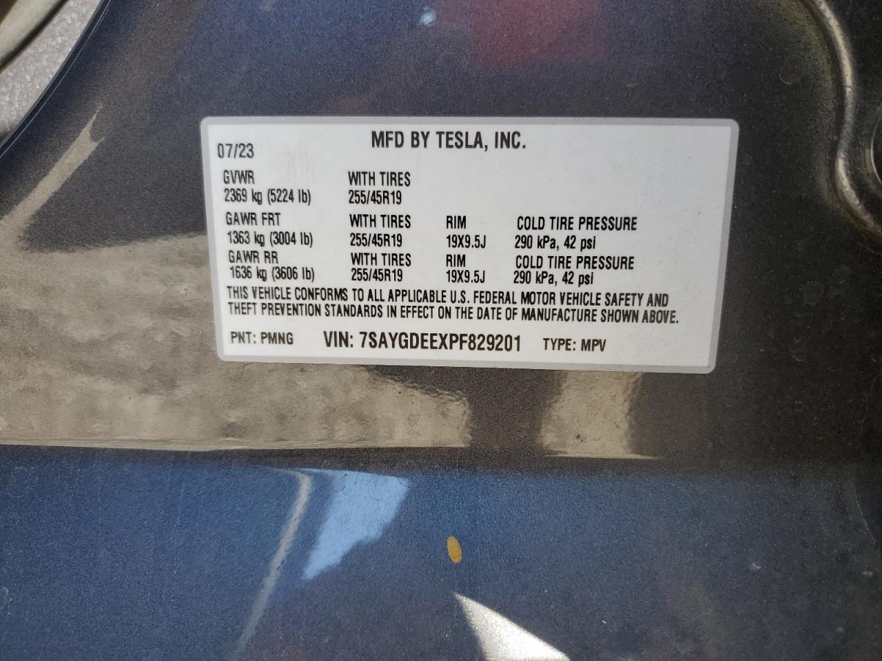 TESLA MODEL Y