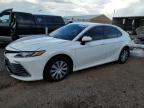 Lot #3304238949 2023 TOYOTA CAMRY LE