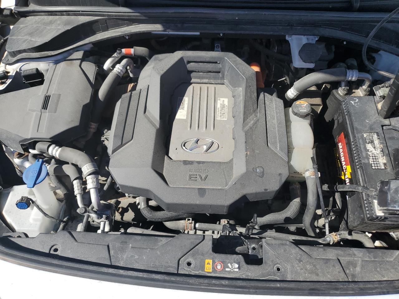 HYUNDAI IONIQ LIMITED