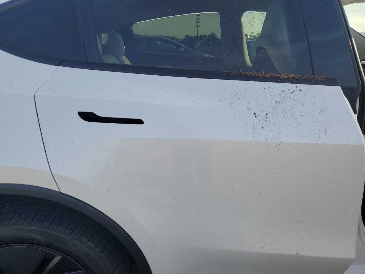 Lot #3308377291 2026 TESLA MODEL Y