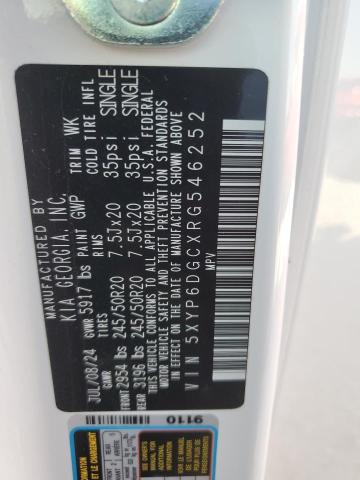 2024 KIA TELLURIDE - 5XYP6DGCXRG546252