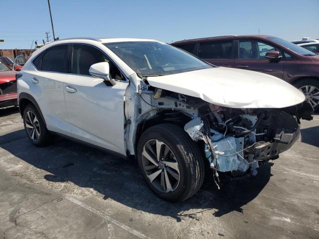2020 LEXUS NX 300 - JTJDARBZ2L5000794