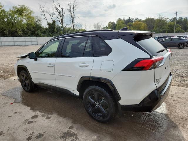 2019 TOYOTA RAV4 XSE - JTMEWRFV4KD504817