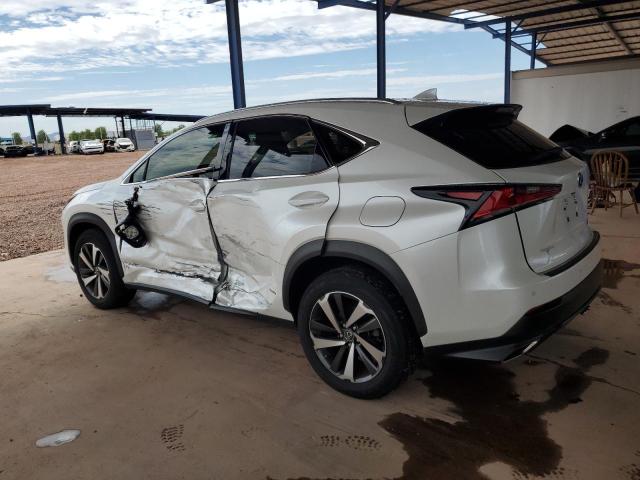 2020 LEXUS NX 300 JTJGARBZ6L2174334