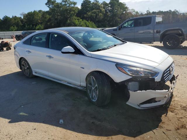 2019 HYUNDAI SONATA HYBRID - KMHE34L37KA087642