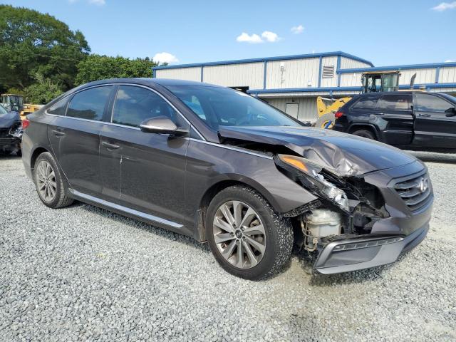 2016 HYUNDAI SONATA SPO 5NPE34AF5GH413035