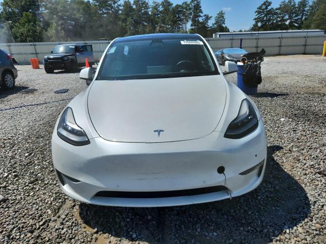 2020 TESLA MODEL Y 5YJYGDEE1LF034996