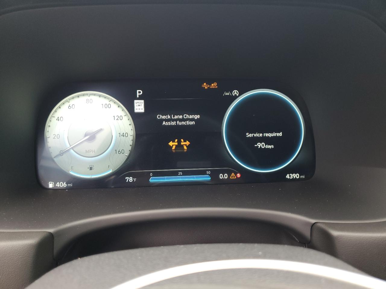 HYUNDAI PALISADE CALLIGRAPHY