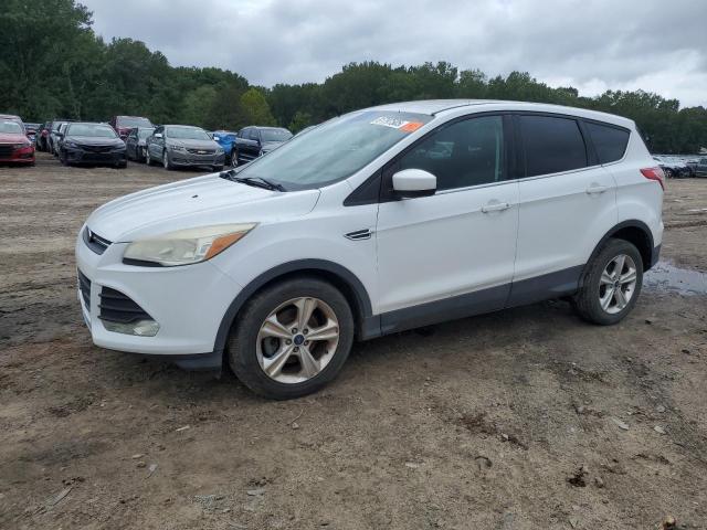 Global Auto Auctions: 2014 FORD ESCAPE SE