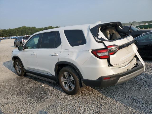 2024 HONDA PILOT EXL 5FNYG2H46RB007227