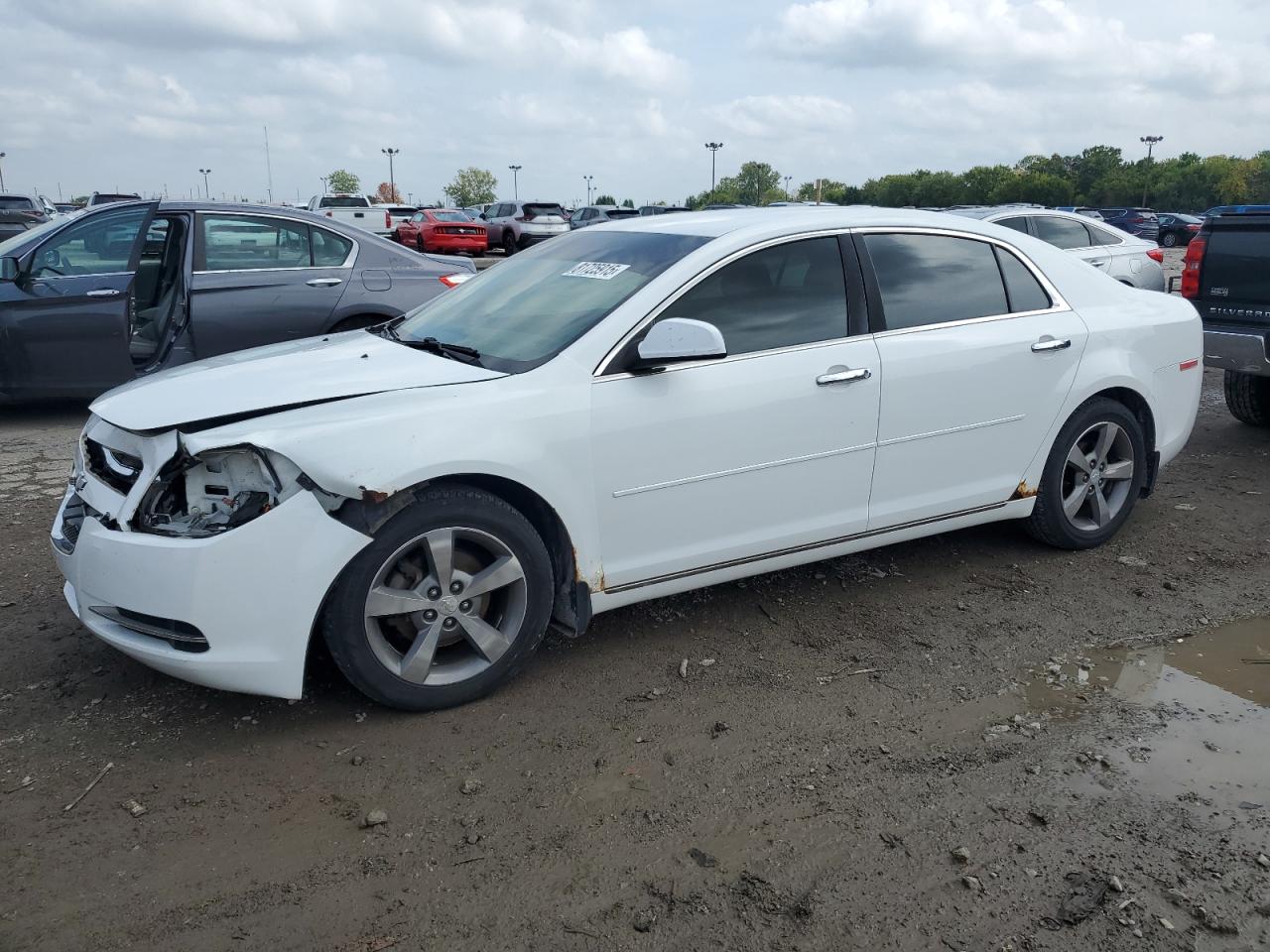 CHEVROLET MALIBU 1LT