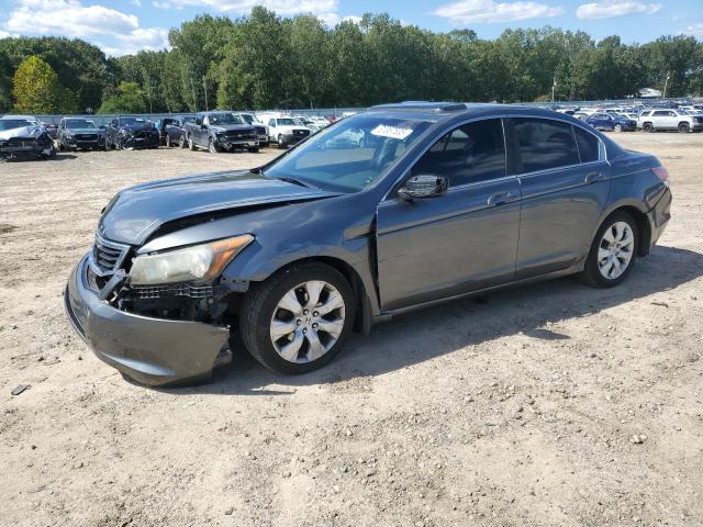 Global Auto Auctions: 2010 HONDA ACCORD EX