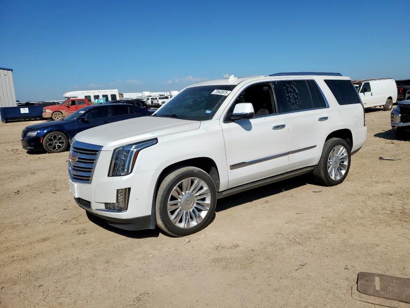 Global Auto Auctions: 2019 CADILLAC ESCALADE P