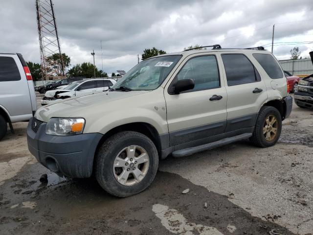 Global Auto Auctions: 2006 FORD ESCAPE XLT