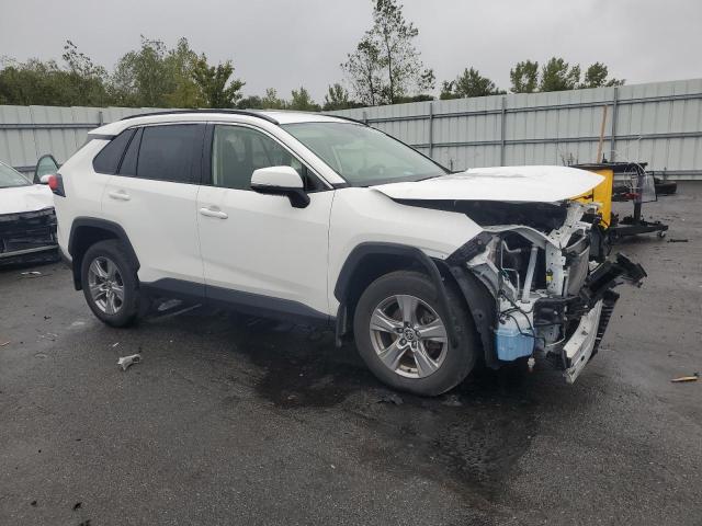 2023 TOYOTA RAV4 XLE JTMP1RFVXPD101553